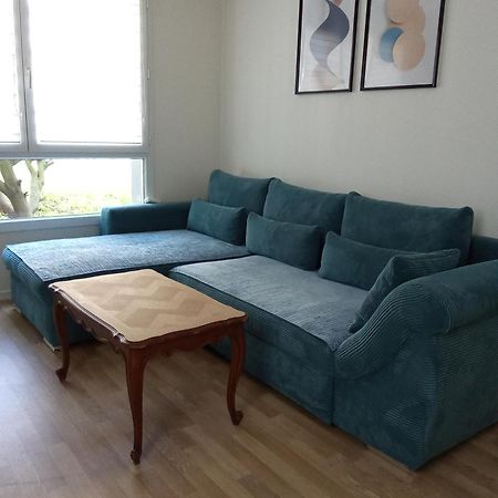 שטרסבורג Bel Appartement Cosy מראה חיצוני תמונה