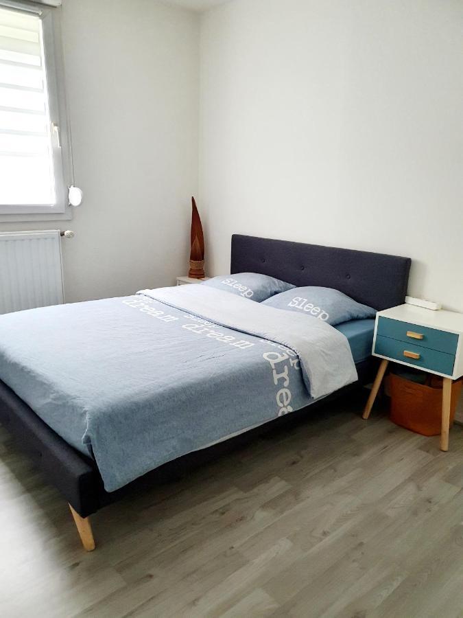 שטרסבורג Bel Appartement Cosy מראה חיצוני תמונה